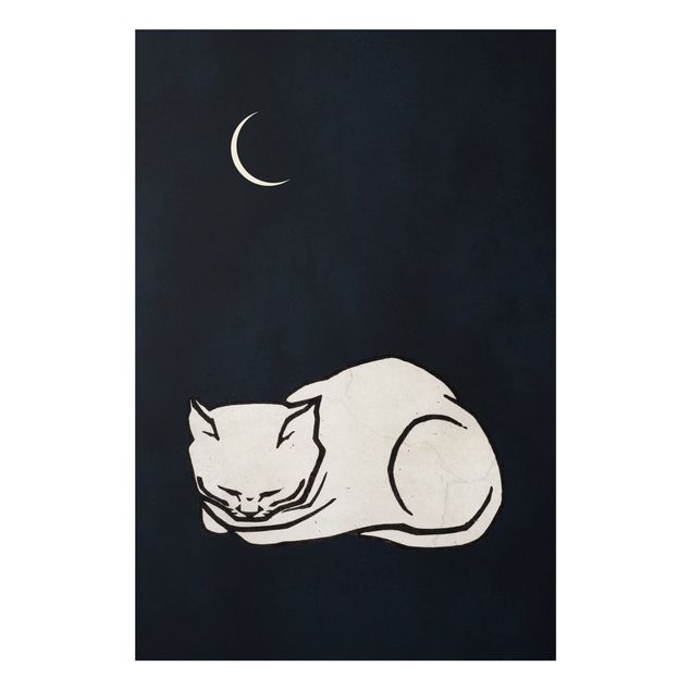 Print on forex - Sleeping Cat Illustration