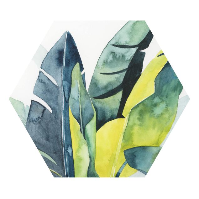 Forex hexagon - Tropical Foliage - Banana