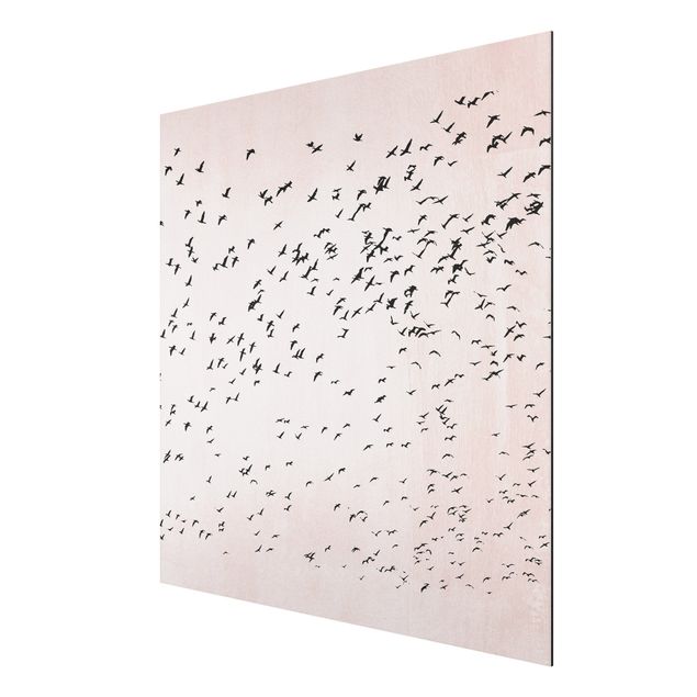 Alu-Dibond print - Flock Of Birds In The Sunset