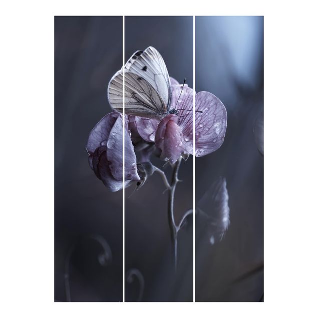 Sliding panel curtains set - Butterfly In The Rain