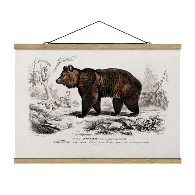 Fabric print with poster hangers - Vintage Board Brown Bear