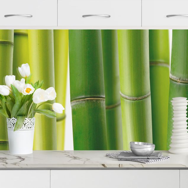 Kitchen splashback landscape Bamboo Plants II