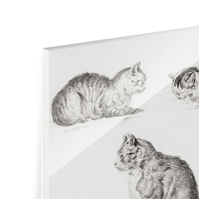 Glass print - Vintage Drawing Cat I