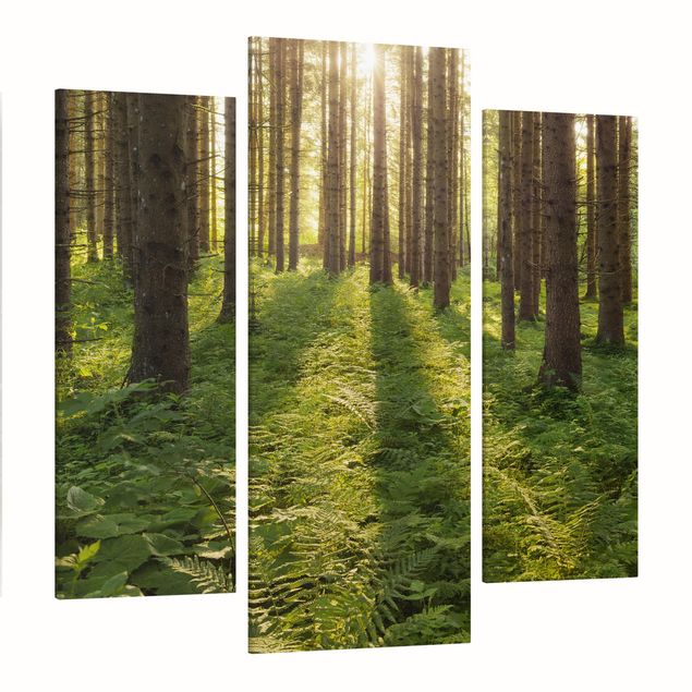 Print on canvas 3 parts - Sun Rays In Green Forest