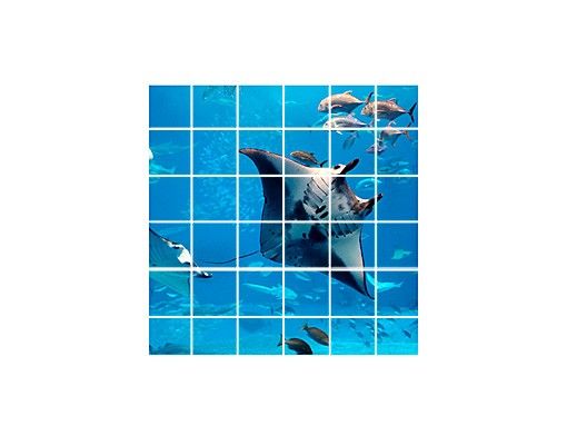 Tile sticker - Manta Ray