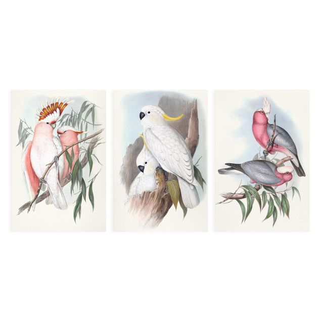 Print on canvas - Pastel Parrots Set I
