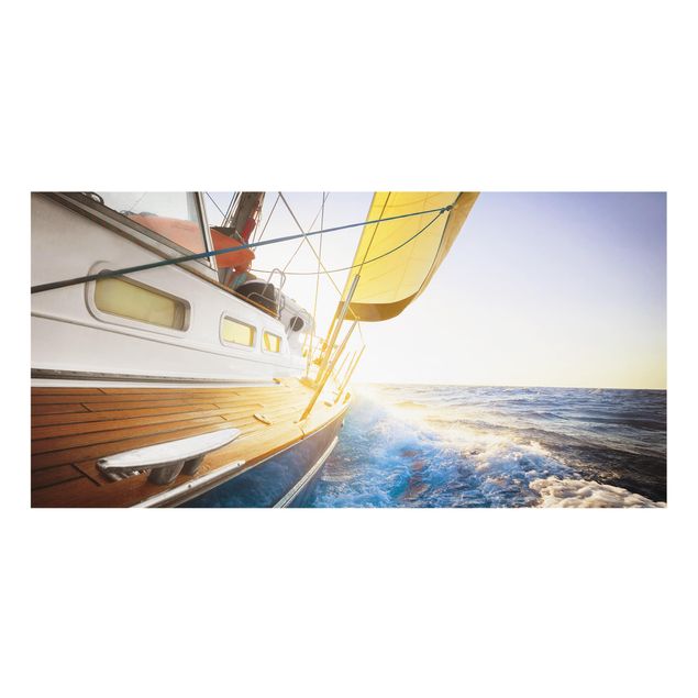 Splashback - Sailboat On Blue Ocean In Sunshine
