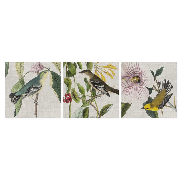 Print on canvas - Birds On Linen Set I