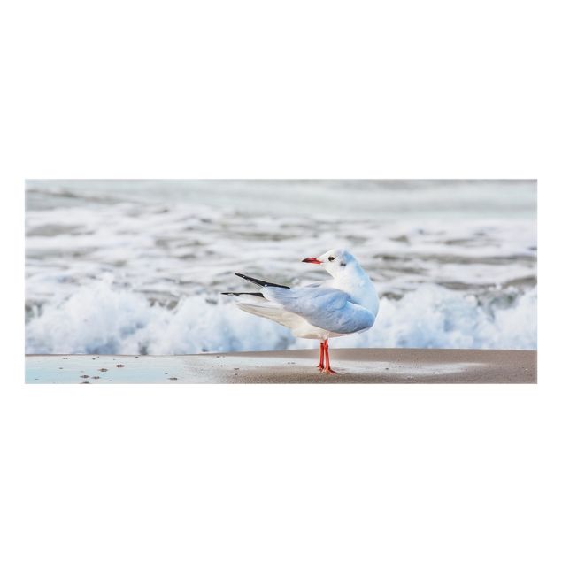 Glass splashback animals Seagull On The Beach In Front Of The Sea