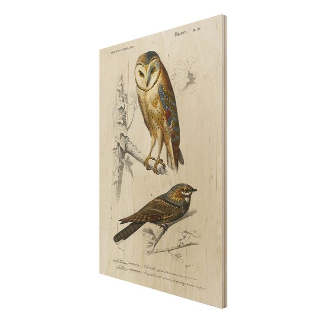 Print on wood - Vintage Board Owl And Swallow