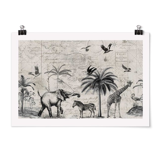 Poster - Vintage Collage - Exotic Map