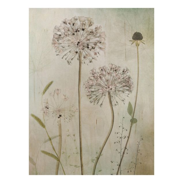Wood print - Allium flowers in pastel