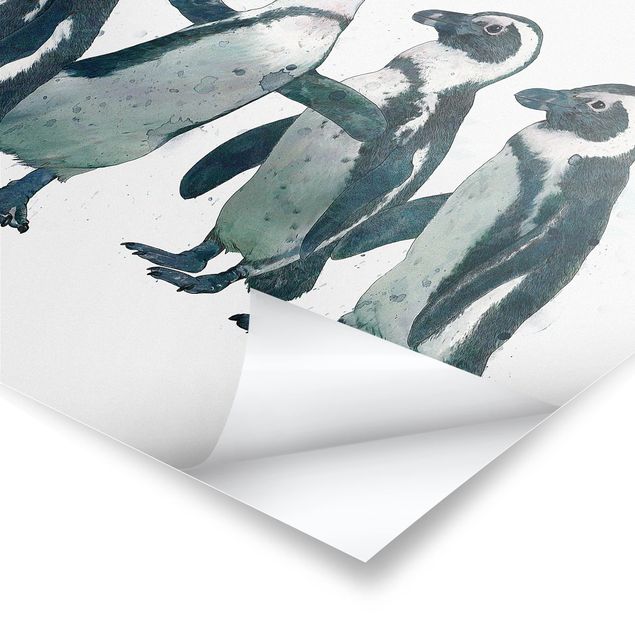 Poster - Illustration Penguins Black And White Watercolour
