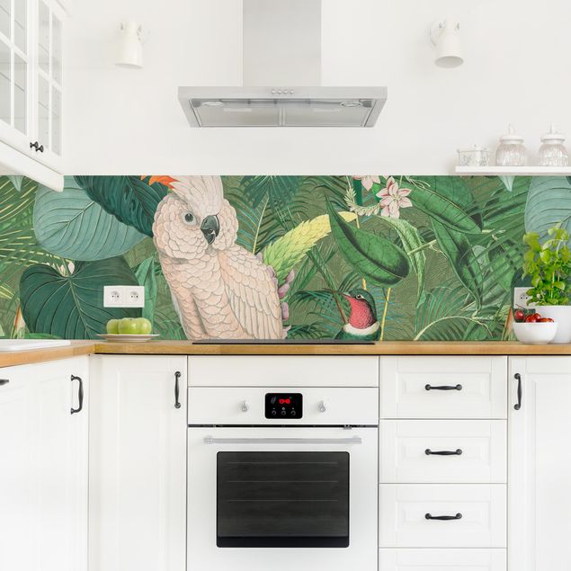 Kitchen splashback animals Vintage Collage - Kakadu And Hummingbird