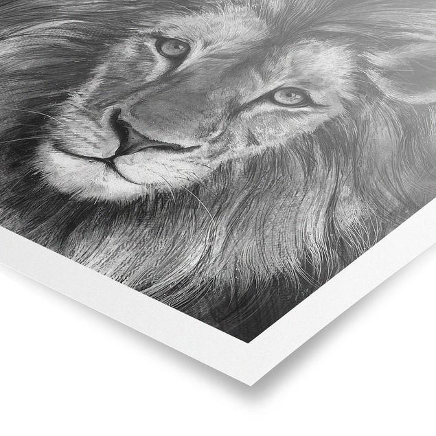 Poster - Illustration Lion Monochrome Painting