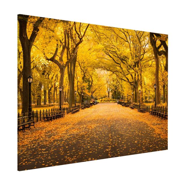 Magnetic memo board - Autumn In Central Park