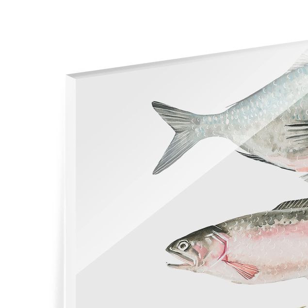 Glass Splashback - Seven Fish In Watercolor II - Square 1:1