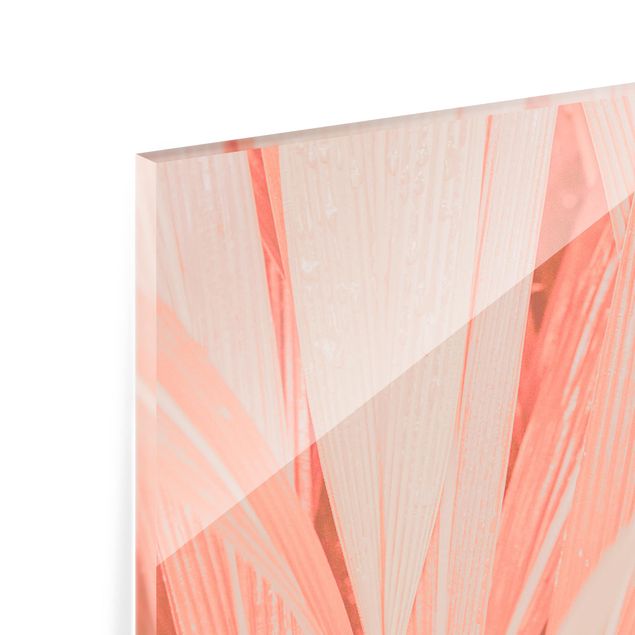 Splashback - Palm Leaves Light Pink