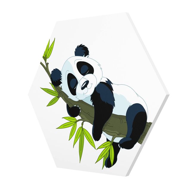 Forex hexagon - Sleeping Panda