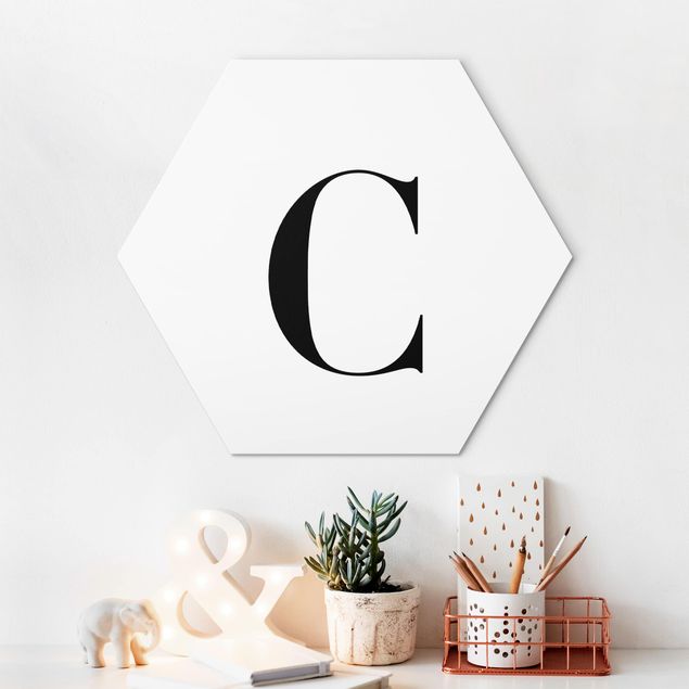 Alu-Dibond hexagon - Letter Serif White C