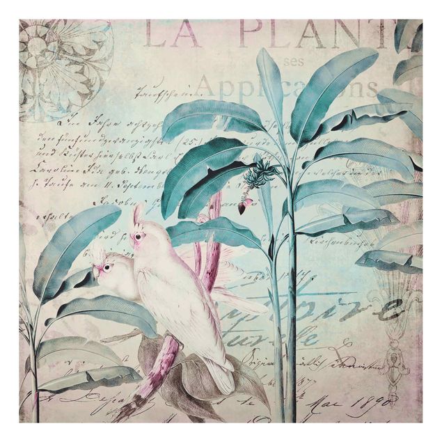 Print on aluminium - Colonial Style Collage - Cockatoos And Palm Trees