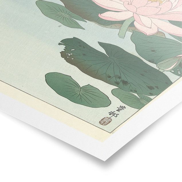 Poster art print - Ohara Shôson - Water Lilies