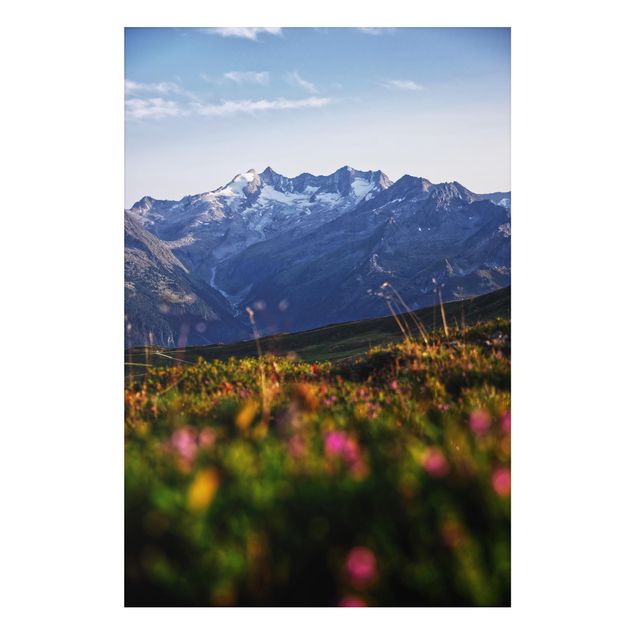 Print on aluminium - Flowering Meadow In The Mountains