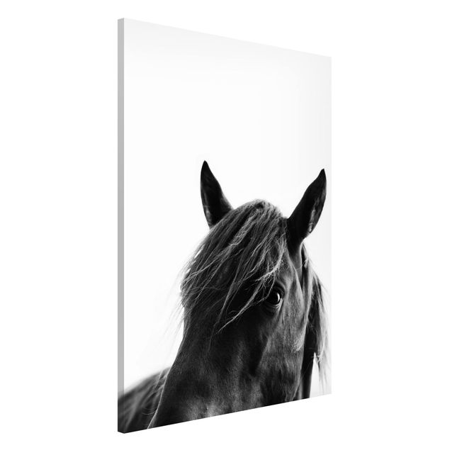 Magnetic memo board - Curious Horse