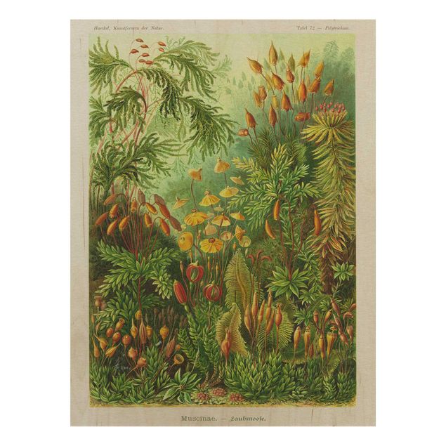 Print on wood - Vintage Board Moss
