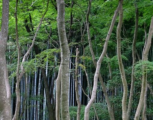 Tile sticker - Japanese Forest