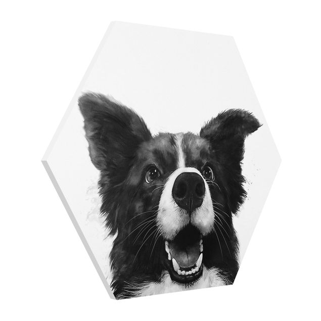 Forex hexagon - Illustration Dog Border Collie Black And White Painting