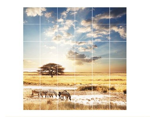 Tile sticker - Zebras' lives