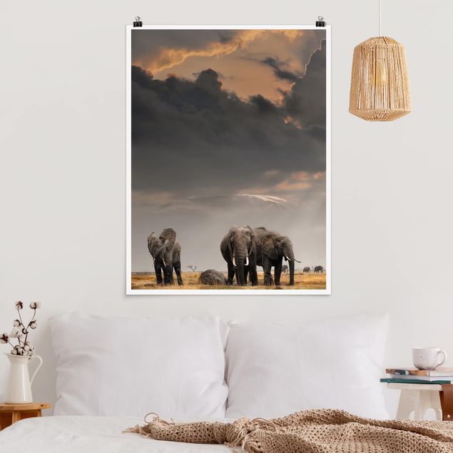 Poster animals - Elephants in the Savannah