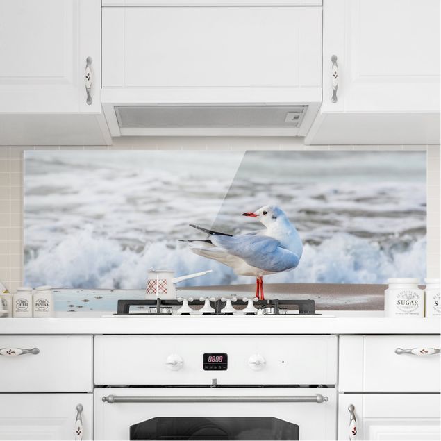 Glass splashback art print Seagull On The Beach In Front Of The Sea