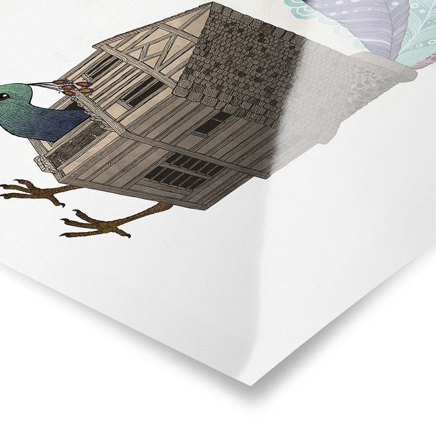 Poster - Illustration Birdhouse With Feathers