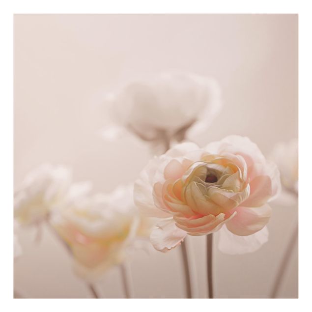 Print on aluminium - Delicate Bouquet Of Light Pink Flowers