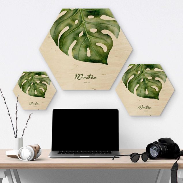 Wooden hexagon - Watercolour Botany Monstera
