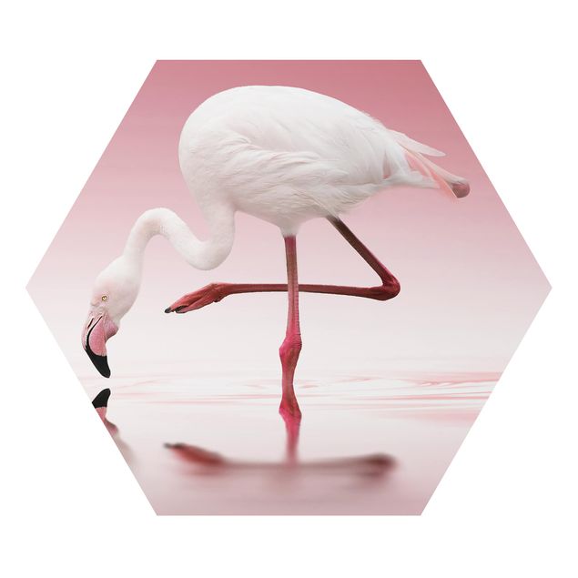 Alu-Dibond hexagon - Flamingo Dance