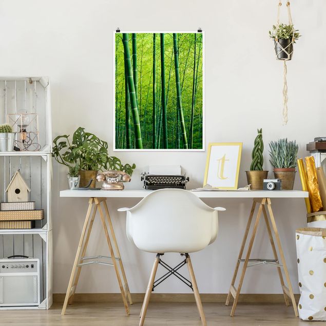 Poster nature & landscape - Bamboo Forest