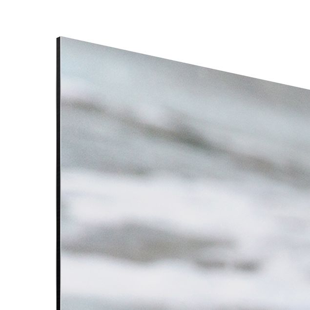Print on aluminium - Seagull On The Beach In Front Of The Sea