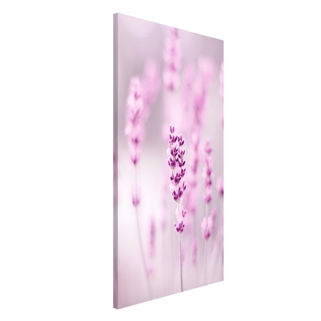 Magnetic memo board - Pale Purple Lavender