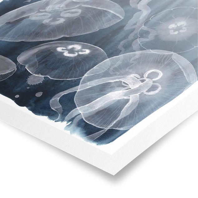 Poster animals - Moon Jellyfish I