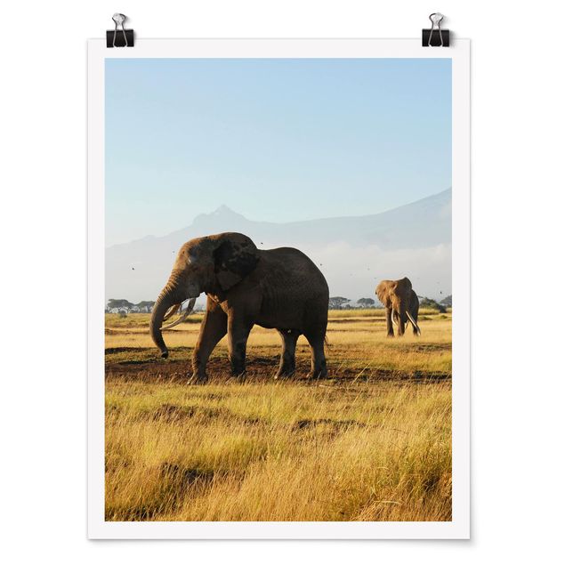 Poster animals - Elephants In Front Of The Kilimanjaro In Kenya