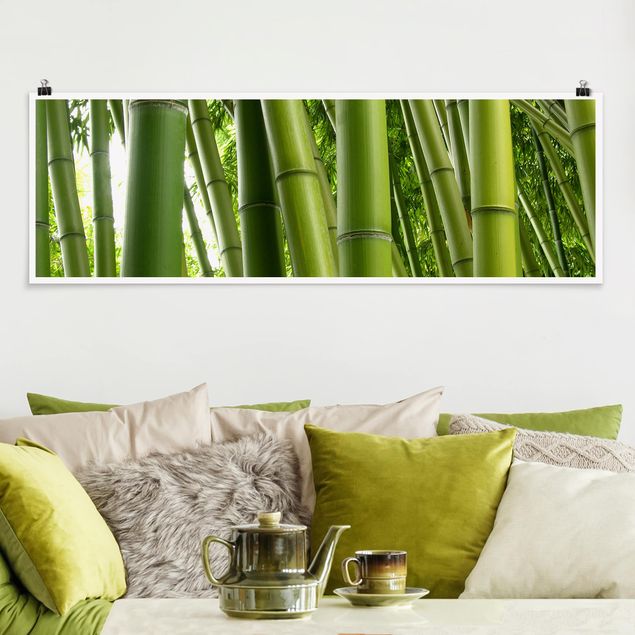 Panoramic poster forest - Bamboo Trees