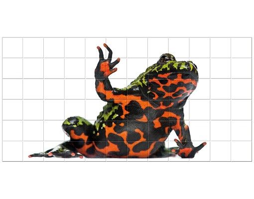 Tile sticker - Fire-bellied Toad