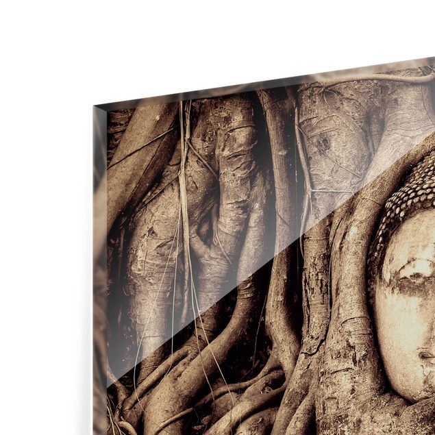 Splashback - Buddha In Ayutthaya Lined From Tree Roots In Brown
