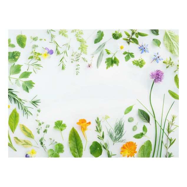 Glass Splashback - Herbs And Flowers - Landscape 3:4