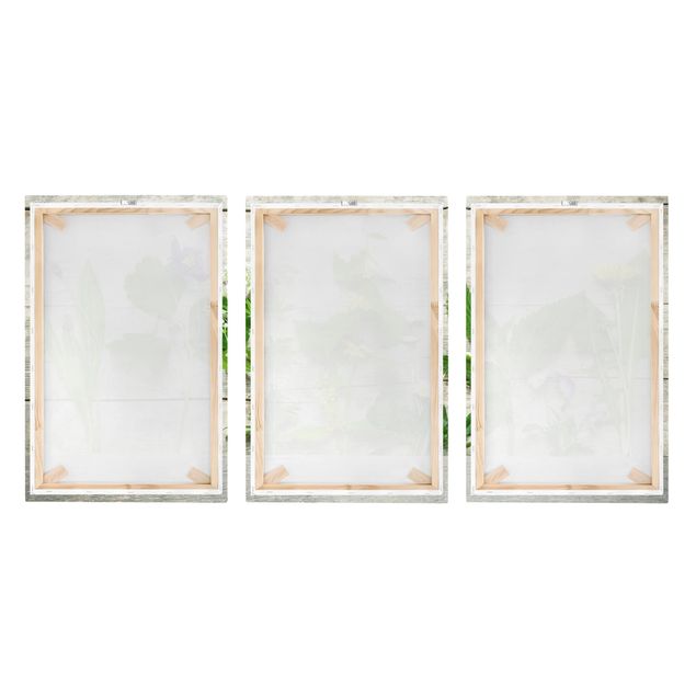 Print on canvas 3 parts - Medicinal and Meadow Herbs