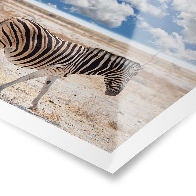 Poster - Zebra In The Savannah