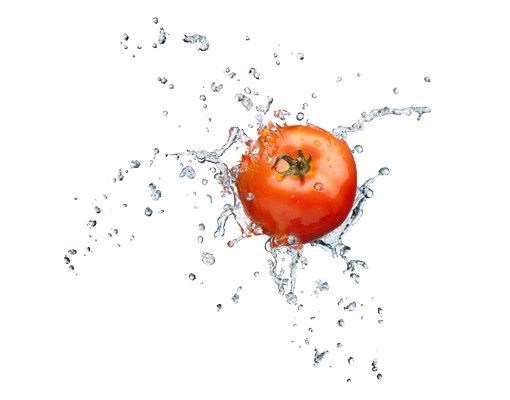 Window sticker - Fresh Tomato